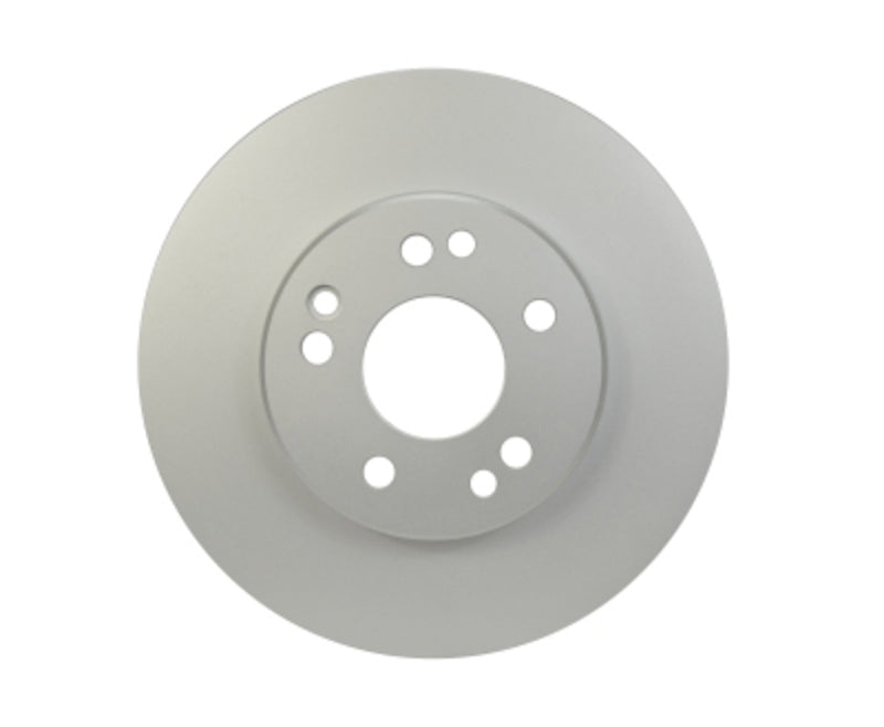 Pagid Disc Brake Rotor