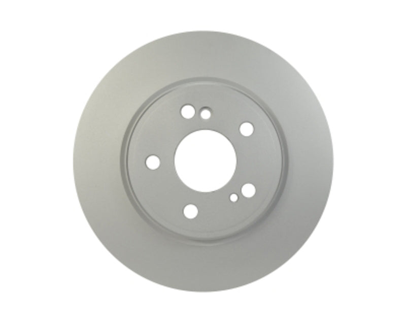 Pagid Disc Brake Rotor