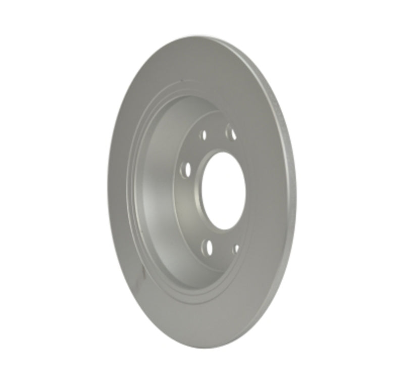 Pagid Disc Brake Rotor