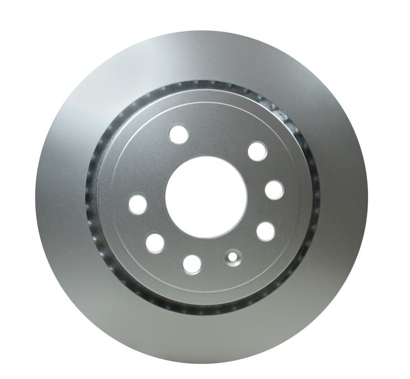 Pagid Disc Brake Rotor