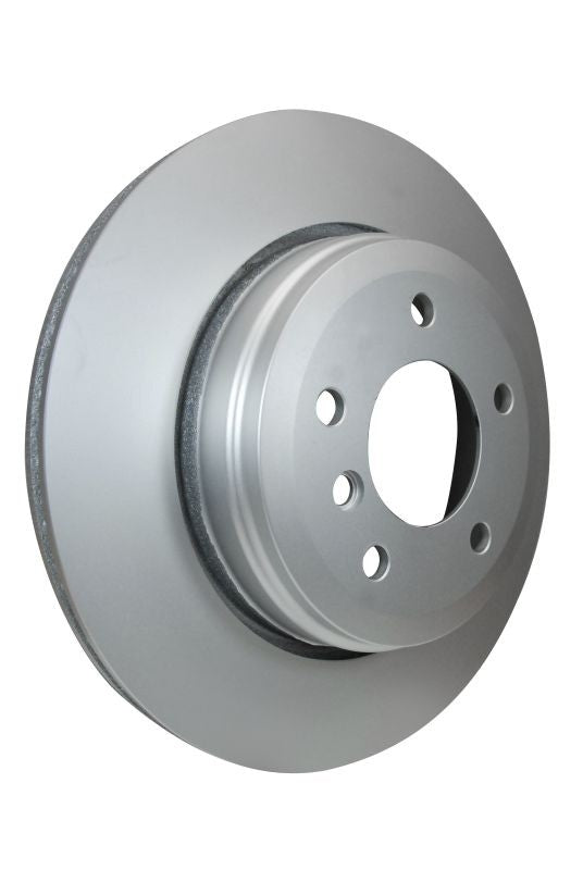 Hella Pagid Disc Brake Rotor 355122642