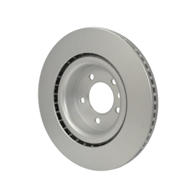 Pagid Disc Brake Rotor