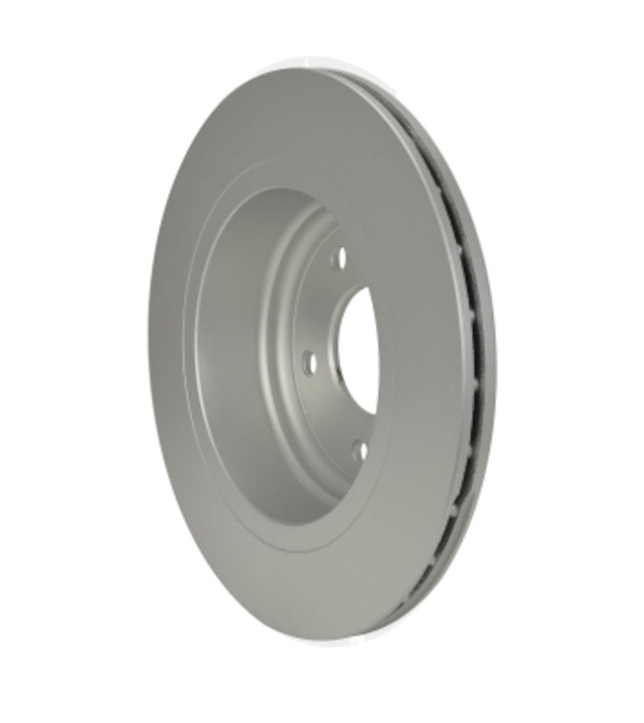 Pagid Disc Brake Rotor