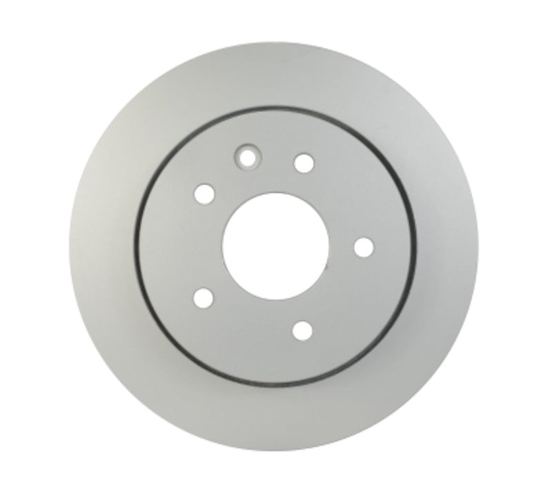 Pagid Disc Brake Rotor