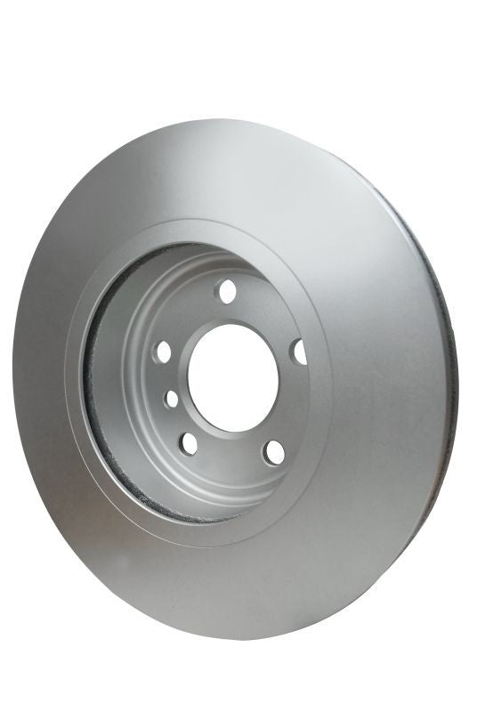 Pagid Disc Brake Rotor