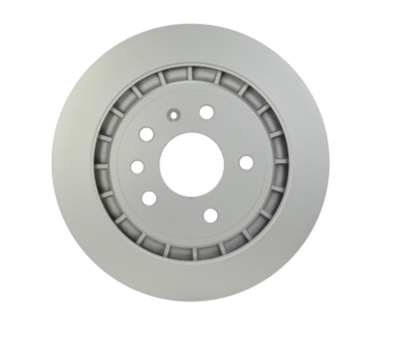 Pagid Disc Brake Rotor