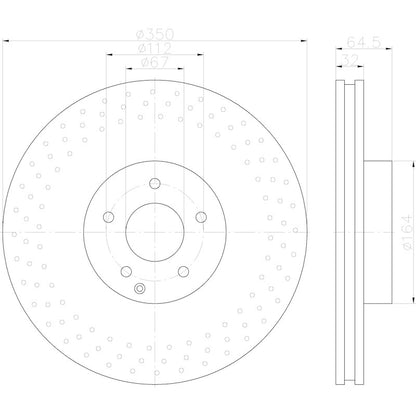 Hella Pagid Disc Brake Rotor 355123012