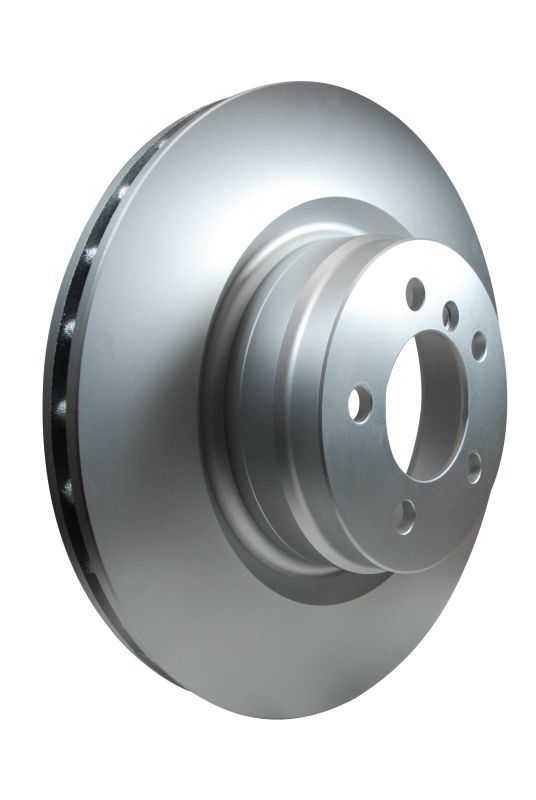 Hella Pagid Disc Brake Rotor 355123032
