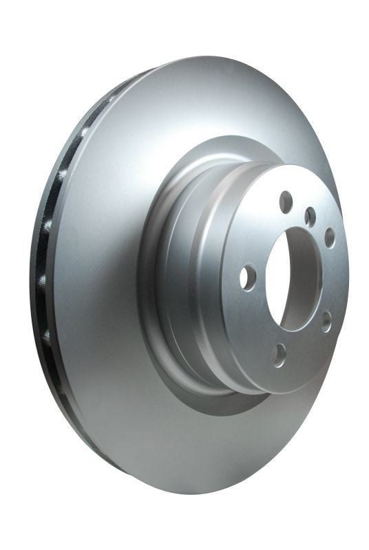 Hella Pagid Disc Brake Rotor 355123032