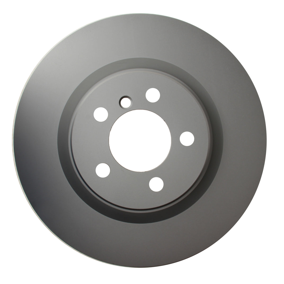Hella Pagid Disc Brake Rotor 355123032