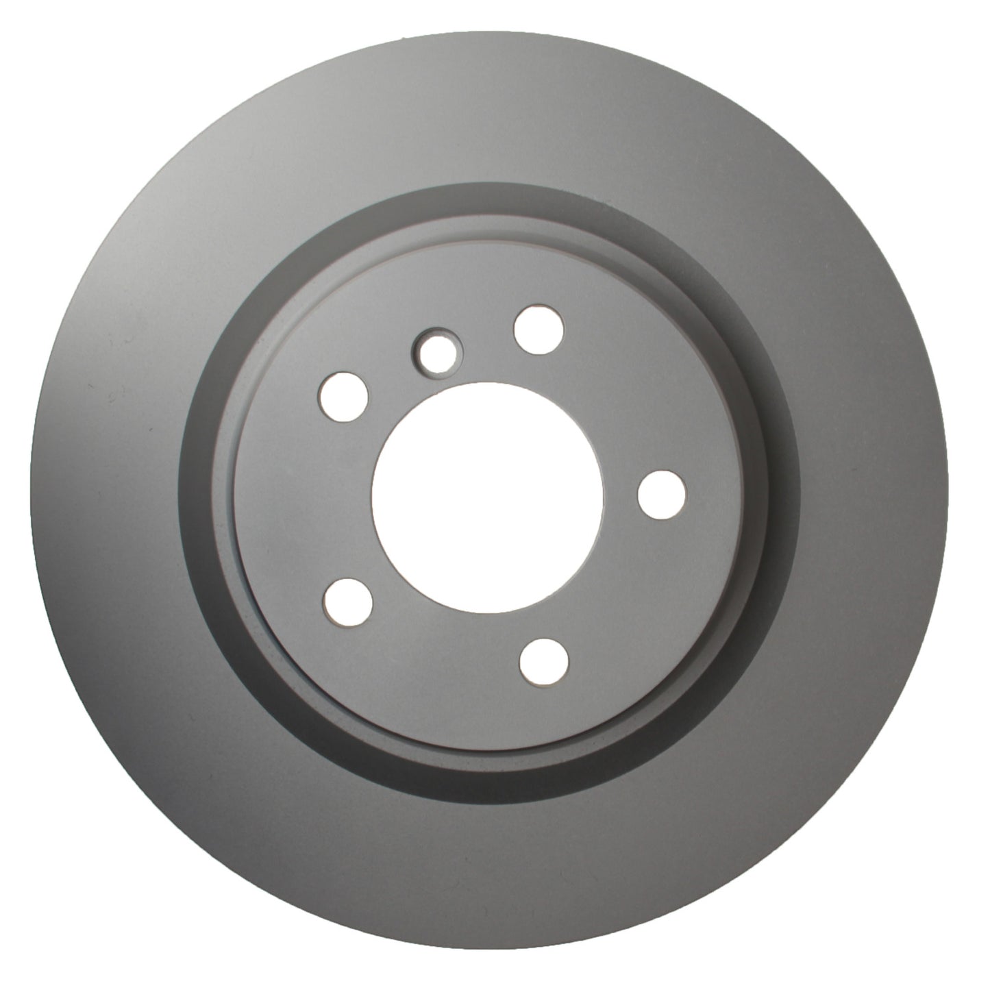 Hella Pagid Disc Brake Rotor 355123062