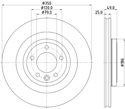 Hella Pagid Disc Brake Rotor 355123091
