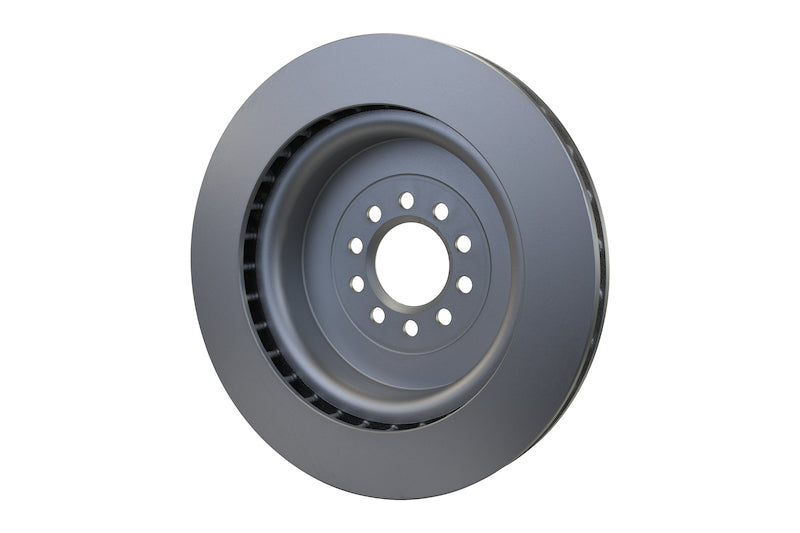 Hella Pagid Disc Brake Rotor 355123092