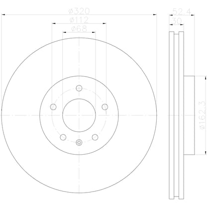 Hella Pagid Disc Brake Rotor 355123122