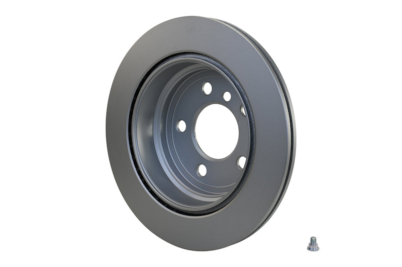 Hella Pagid Disc Brake Rotor 355123152