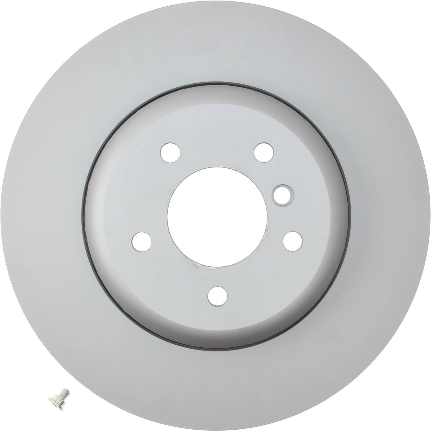 Pagid Disc Brake Rotor