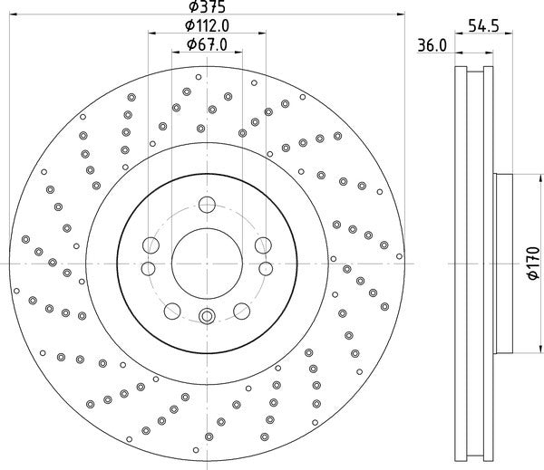 Hella Pagid Disc Brake Rotor 355125041