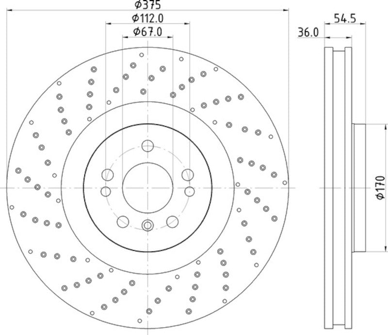 Hella Pagid Disc Brake Rotor 355125041