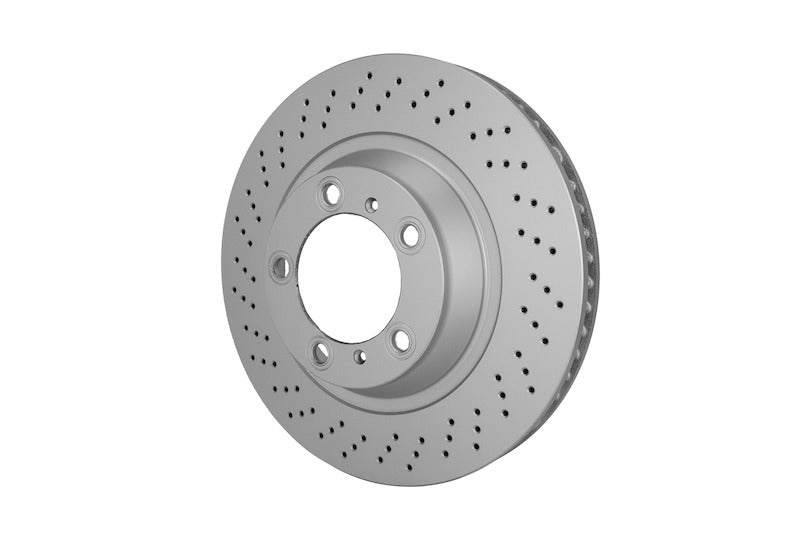 Hella Pagid Disc Brake Rotor 355126921