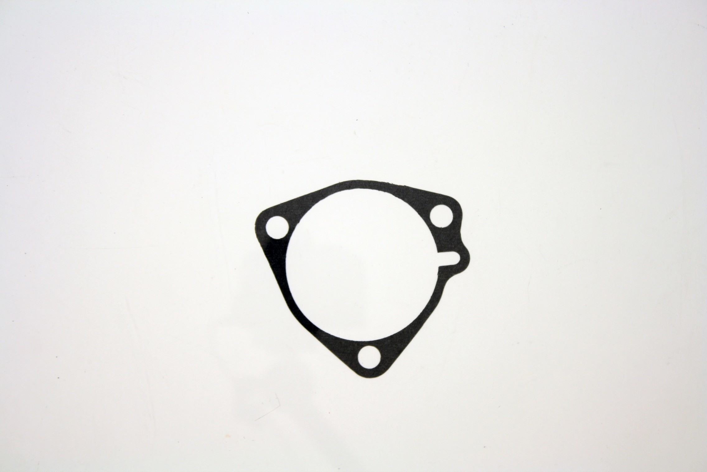 Pioneer Automotive Industries Automatic Transmission Case Gasket 749116