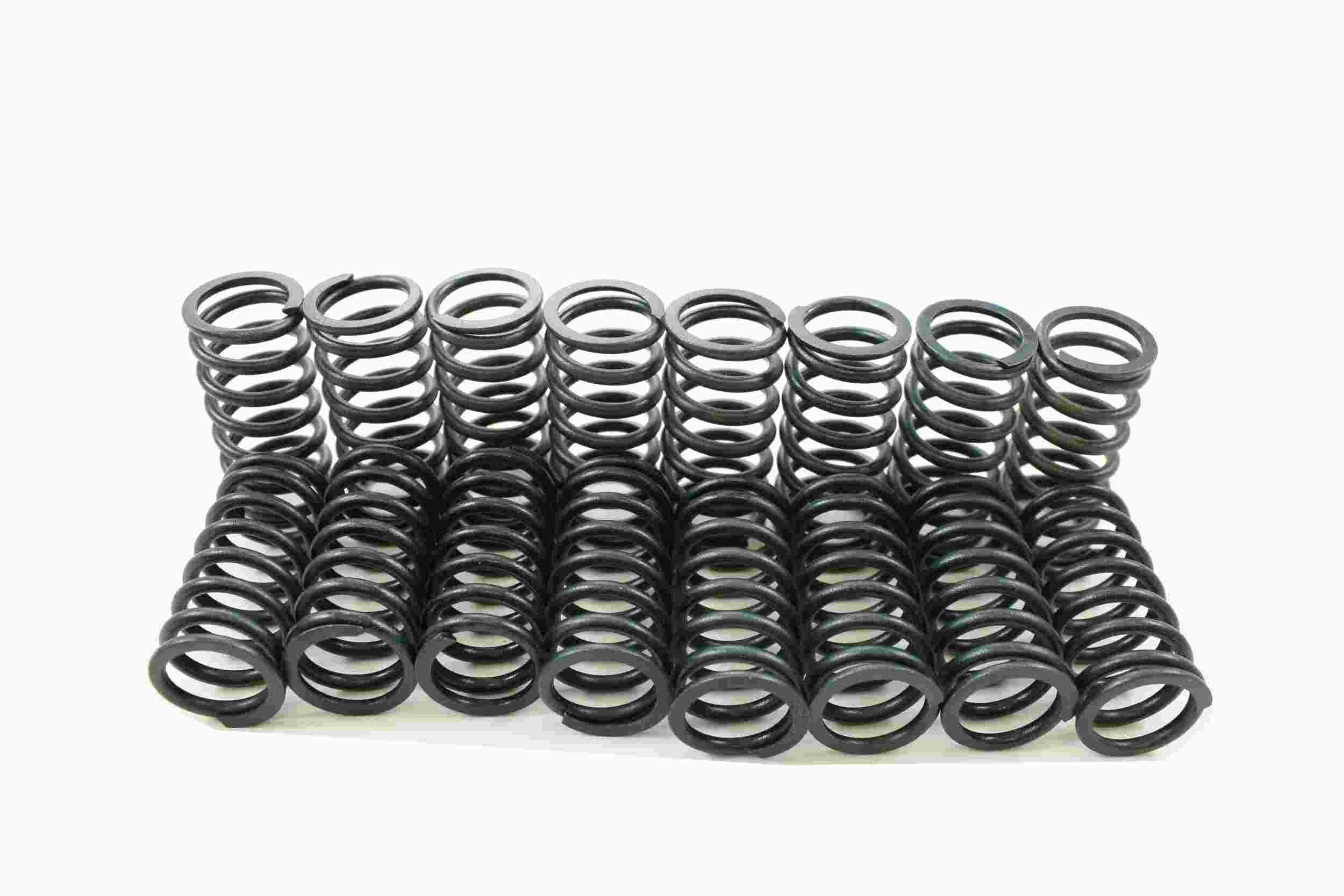 Pioneer Automotive Industries Engine Valve Spring Kit S-1054