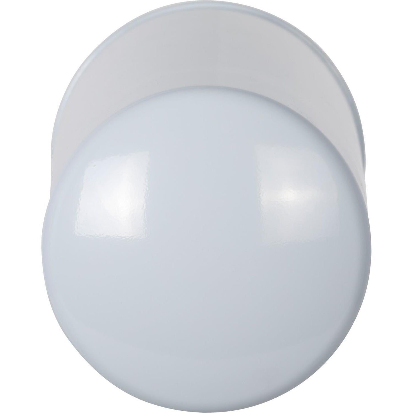 Pronto Fuel Filter DF30060 image 2