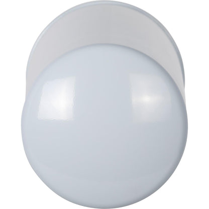 Pronto Fuel Filter DF30060 image 2
