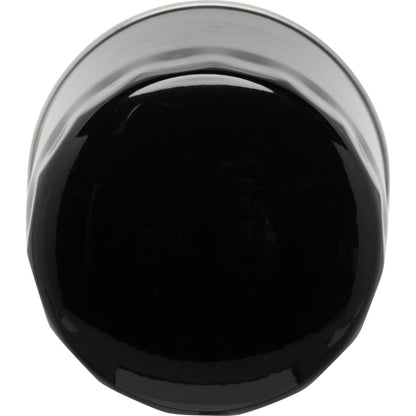 Pronto Engine Oil Filter HG50016 image 2