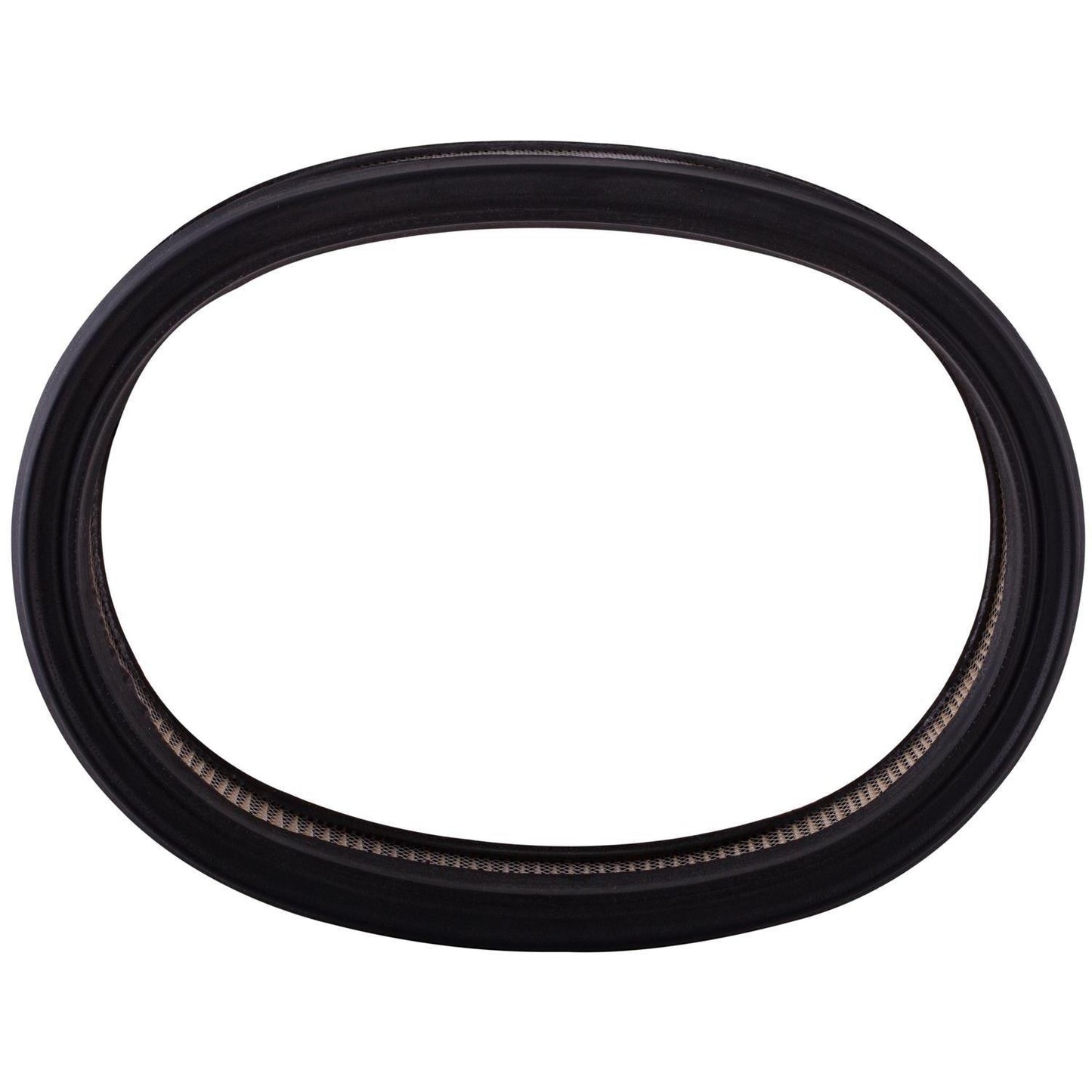Pronto Air Filter PA4379