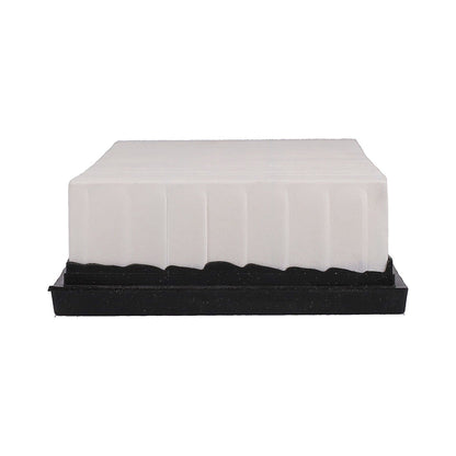 Pronto Air Filter PA4838