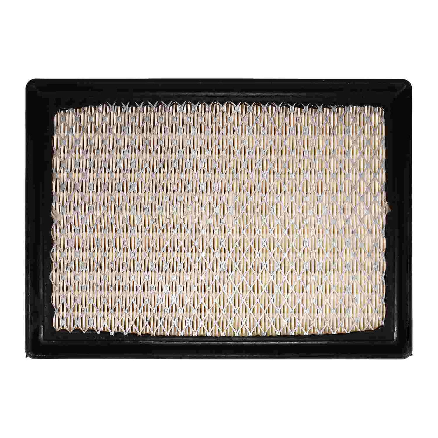 Pronto Air Filter PA5560