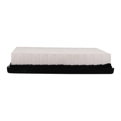 Pronto Air Filter PA5560