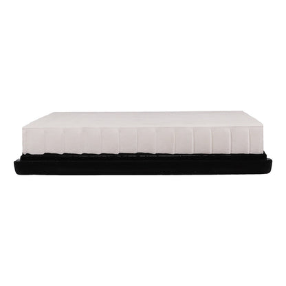 Pronto Air Filter PA5560