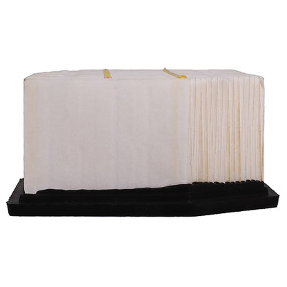 Pronto Air Filter PA5565