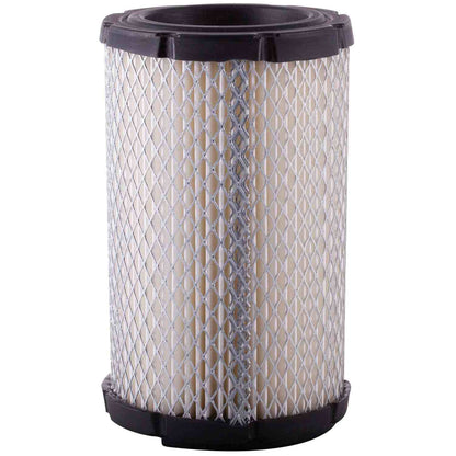 Pronto Air Filter PA6065