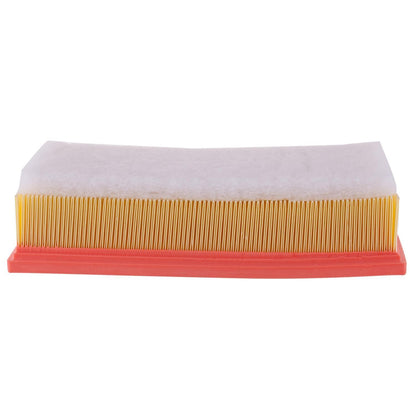 Pronto Air Filter PA6201