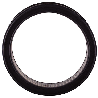 Pronto Air Filter PA92