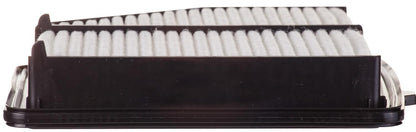 Pronto PA99115F image 4