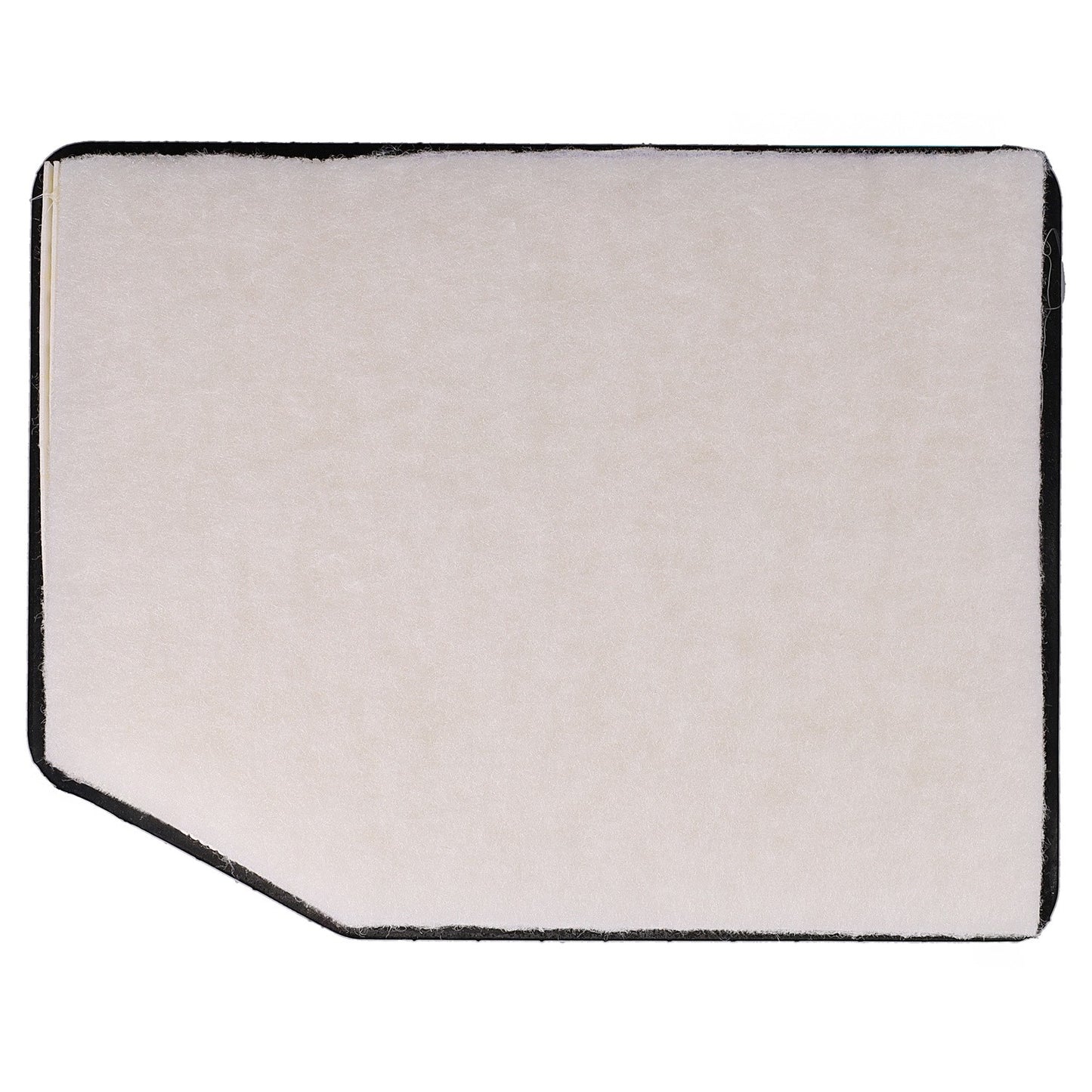 Pronto Air Filter PA99506