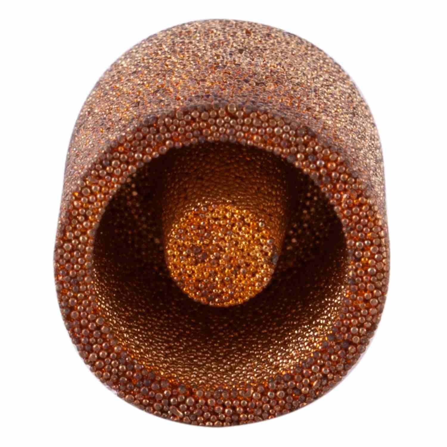 Pronto Fuel Filter PF21