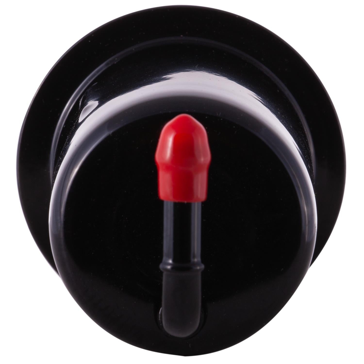 Pronto Fuel Filter PF4821