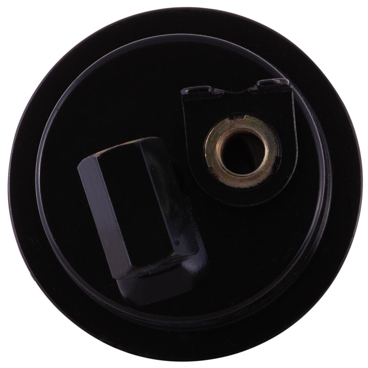 Pronto Fuel Filter PF4828