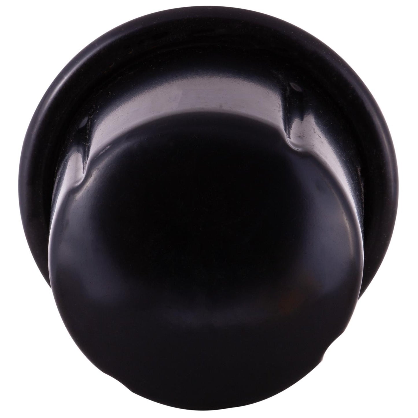 Pronto Fuel Filter PF4846