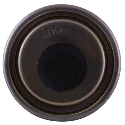 Pronto Fuel Filter PF5256