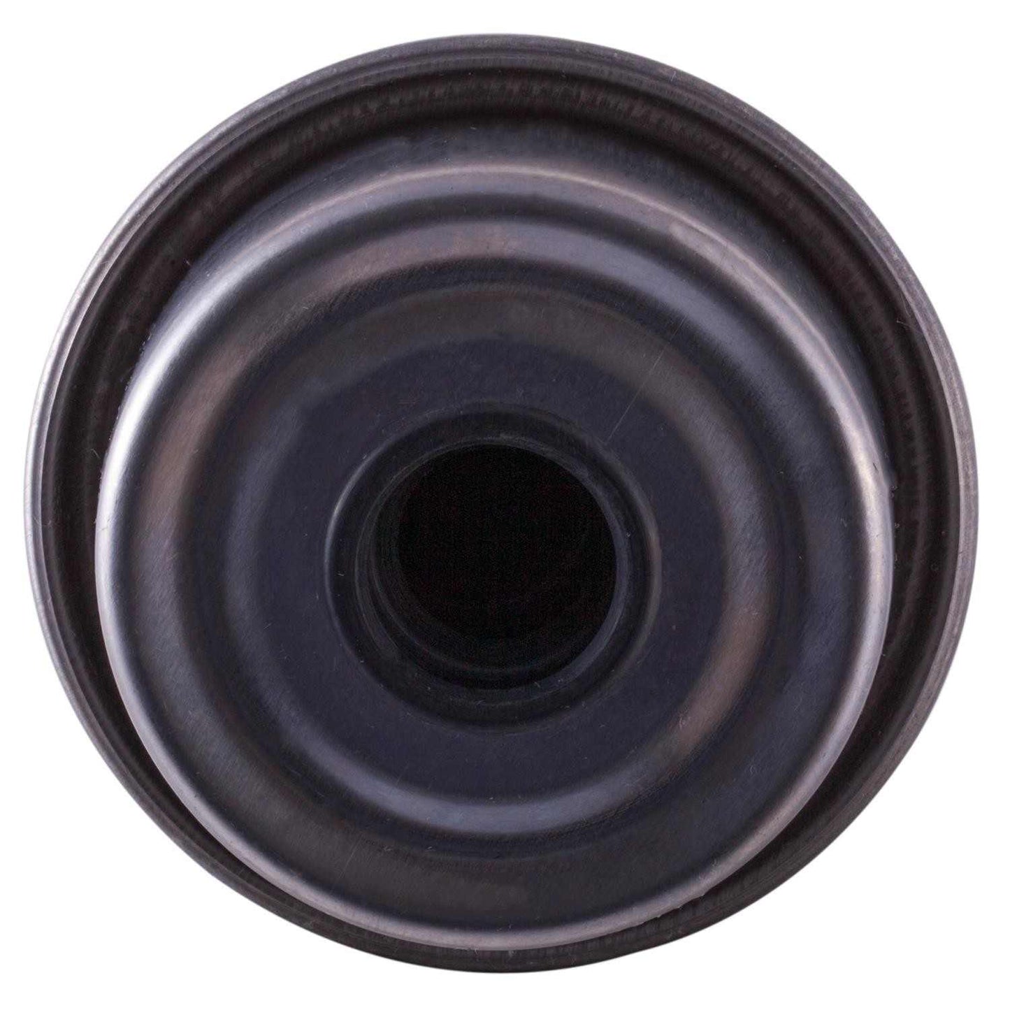 Pronto Fuel Filter PF5299