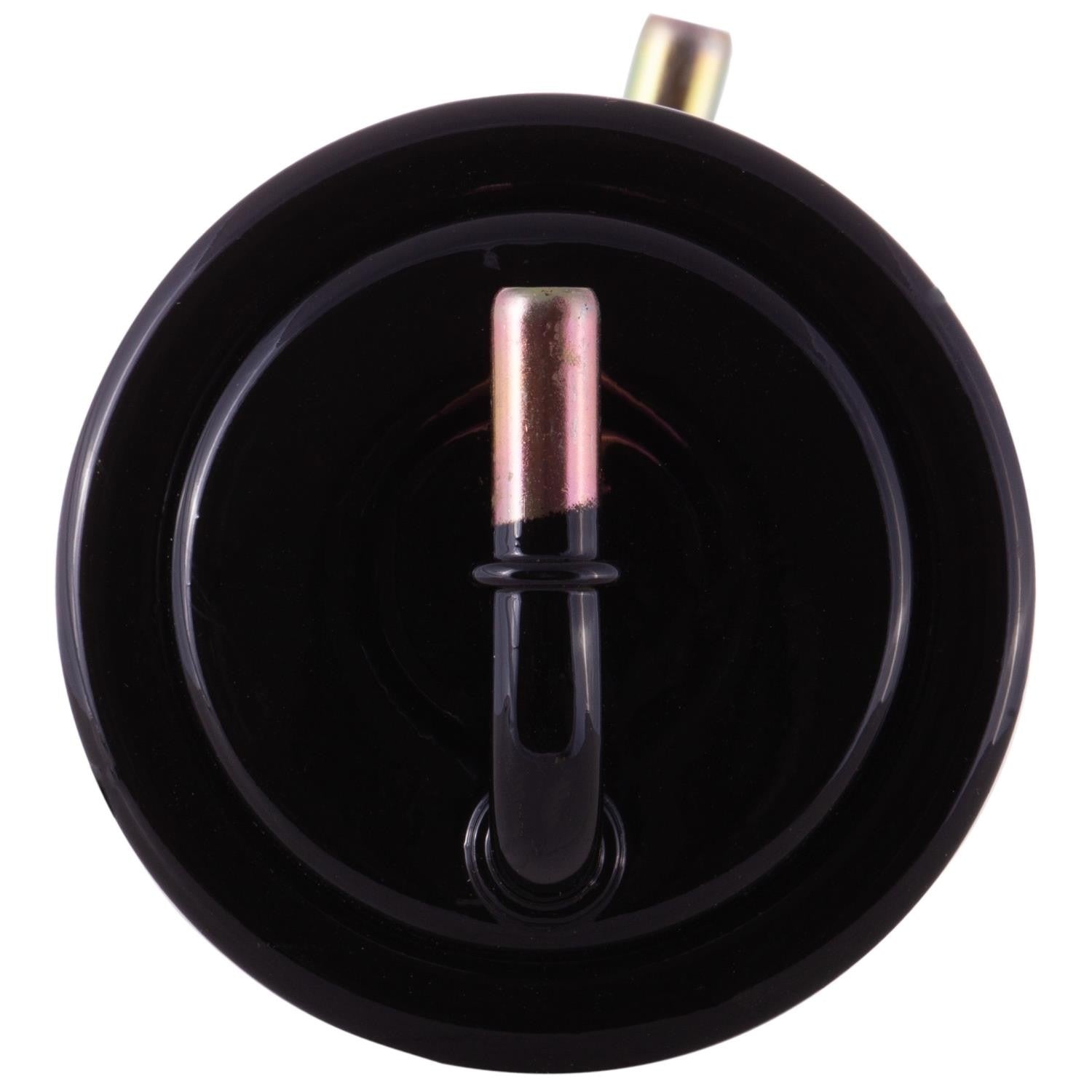 Pronto Fuel Filter PF5356