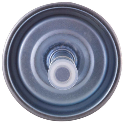 Pronto Fuel Filter PF5524