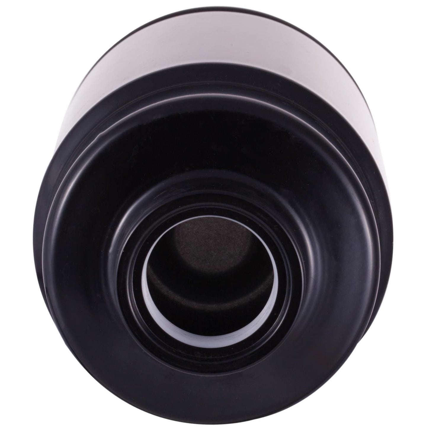 Pronto Fuel Filter PF6117