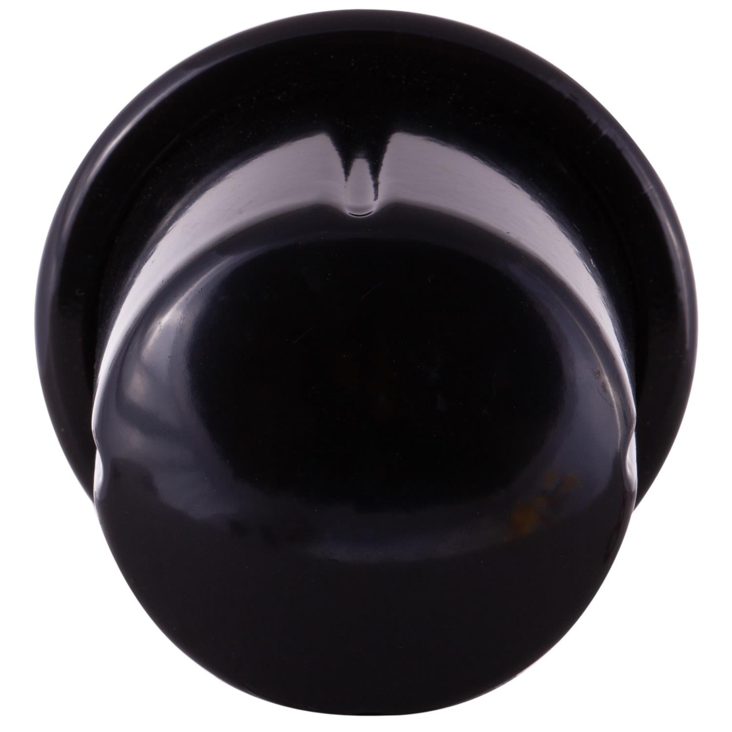 Pronto Fuel Filter PF6896 image 2