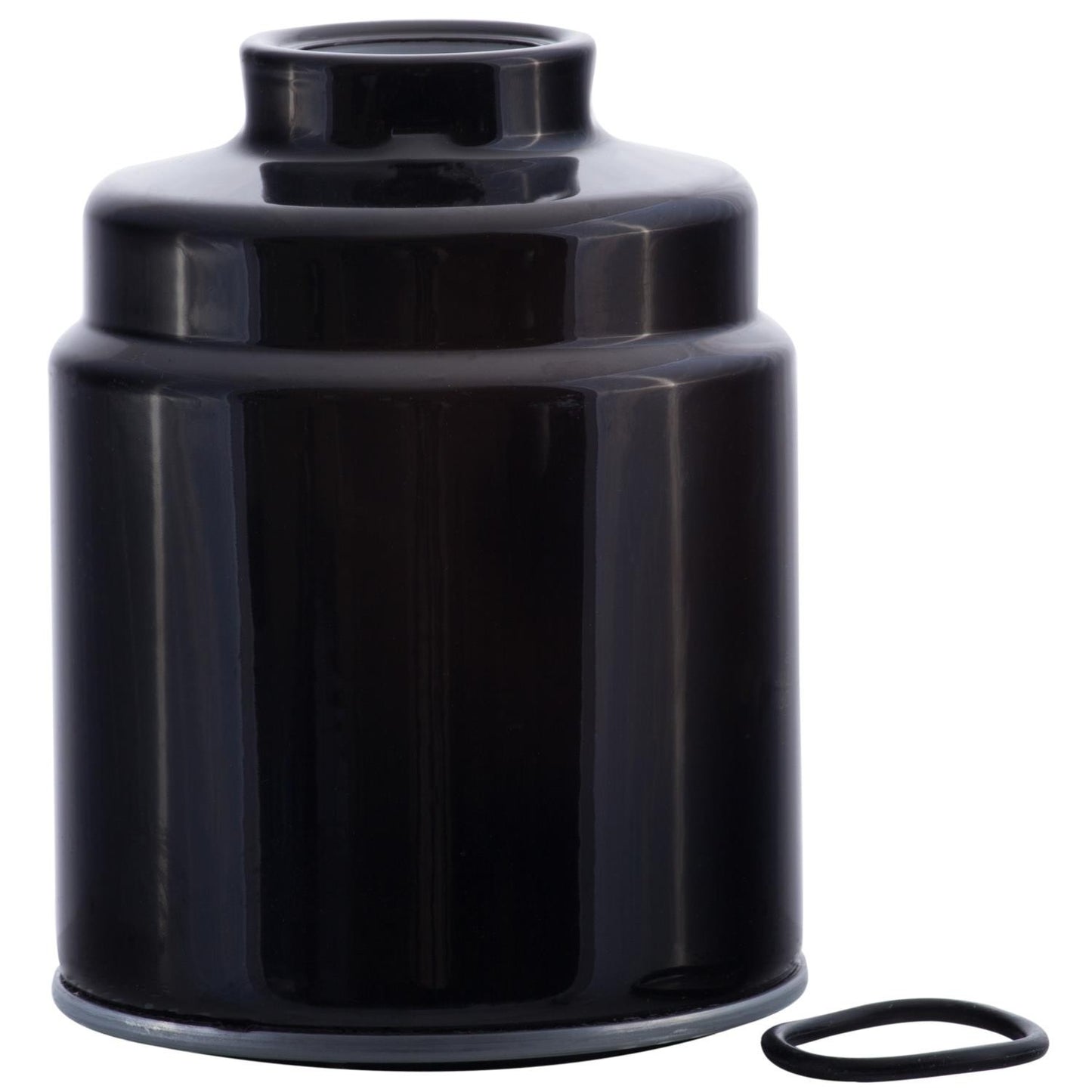 Pronto Fuel Filter PF99085